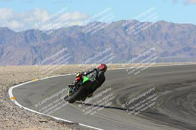 media/Feb-04-2024-SoCal Trackdays (Sun) [[91d6515b1d]]/4-Bowl Backside (11am)/